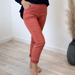 Julia Stretch Magic Trousers 8-22 Brick