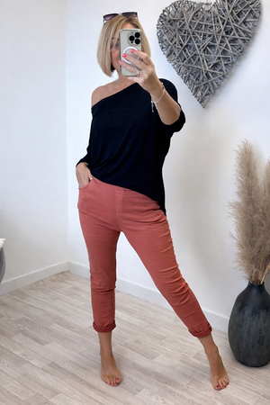 Julia Stretch Magic Trousers 8-22 Brick
