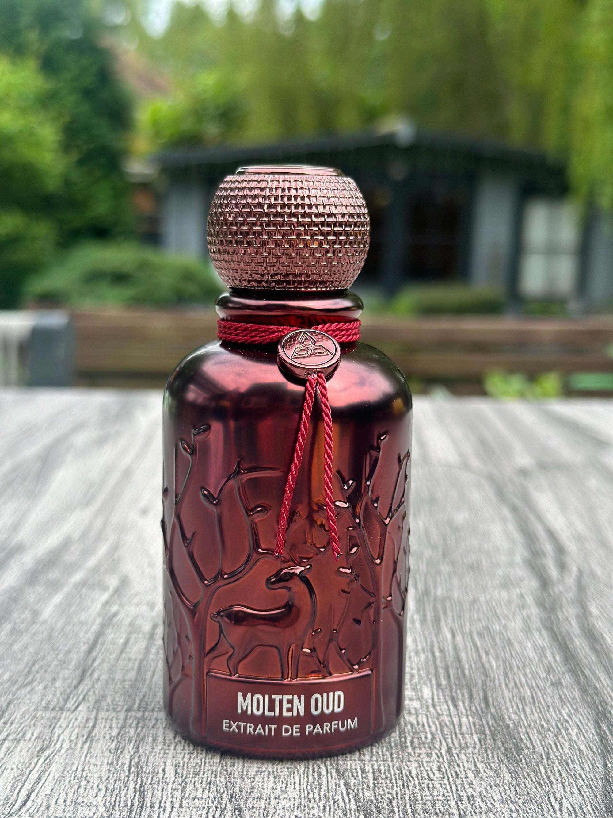 Molten Oud Extrait De Parfum 100ml Auraa Desire Inspired By Oud Wood Tom Ford - Susie's Boutique