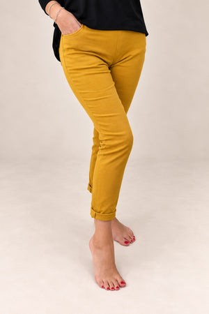 Julia Stretch Magic Trousers 8-22 Mustard