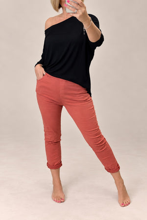Julia Stretch Magic Trousers 8-22 Brick
