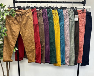 Julia Stretch Magic Trousers 8 - 22 Brick - Susie's Boutique - | Women's Fashion Online