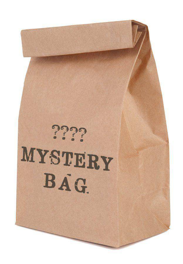 Mystery Bag  Sizes 6-22 NO RETURNS - Susie's Boutique